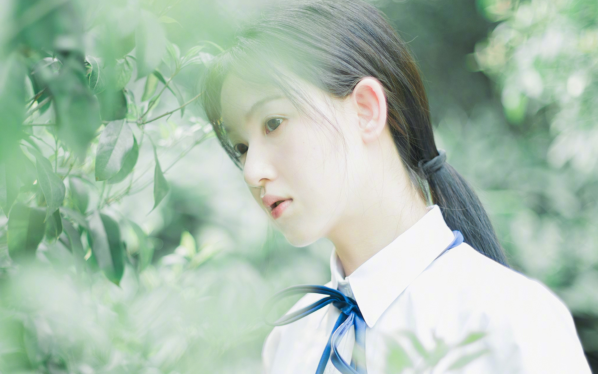 神秘代号库尔图瓦首次实战，北美新军竟以意式防反捅穿亚平宁防线？