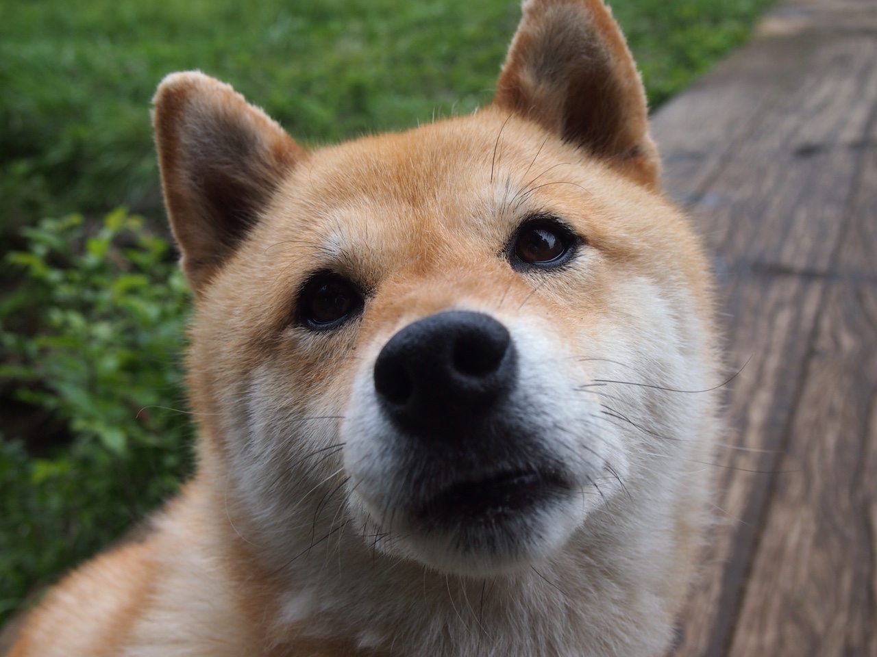 万箭归宗，当克莱的呼吸成为火箭全队的节拍器