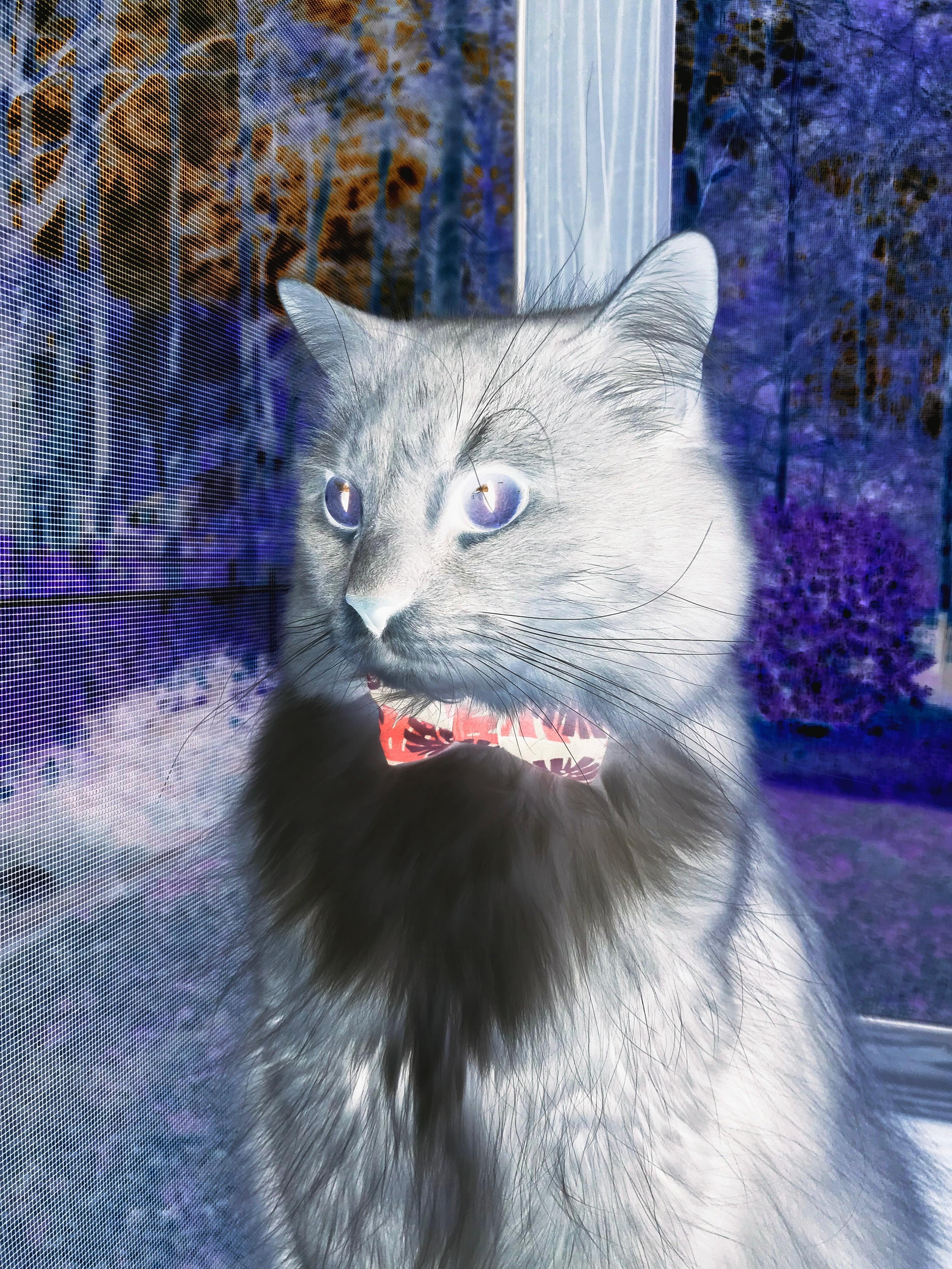 辽宁吉林关外德比！伦纳德式绝命7分锁定硬仗之王美誉