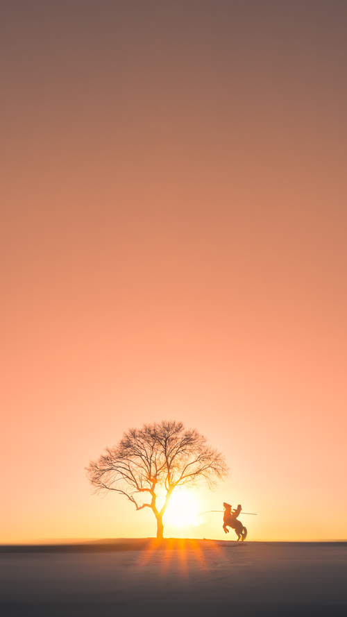 东方烈酒灌醉风城，拉梅洛关键先生助山西队巅峰决胜公牛