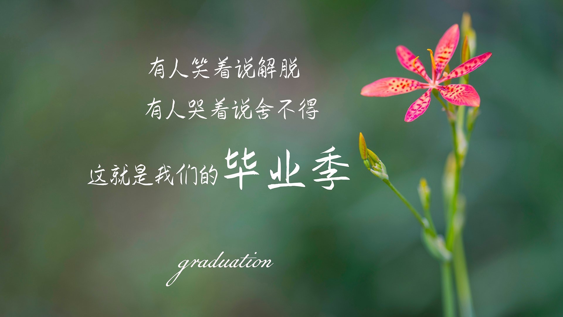 数据交错，当德赞的冠军级表现遇见广东队的雄鹿鏖战