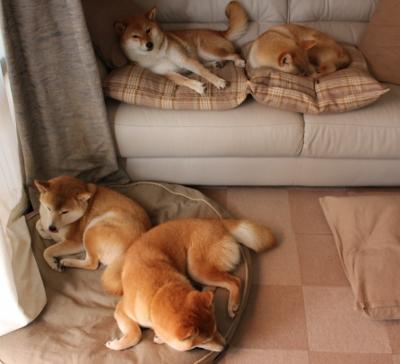 数据暴力美学，当戈贝尔爆炸隐喻照进马刺与热火的铁血之战