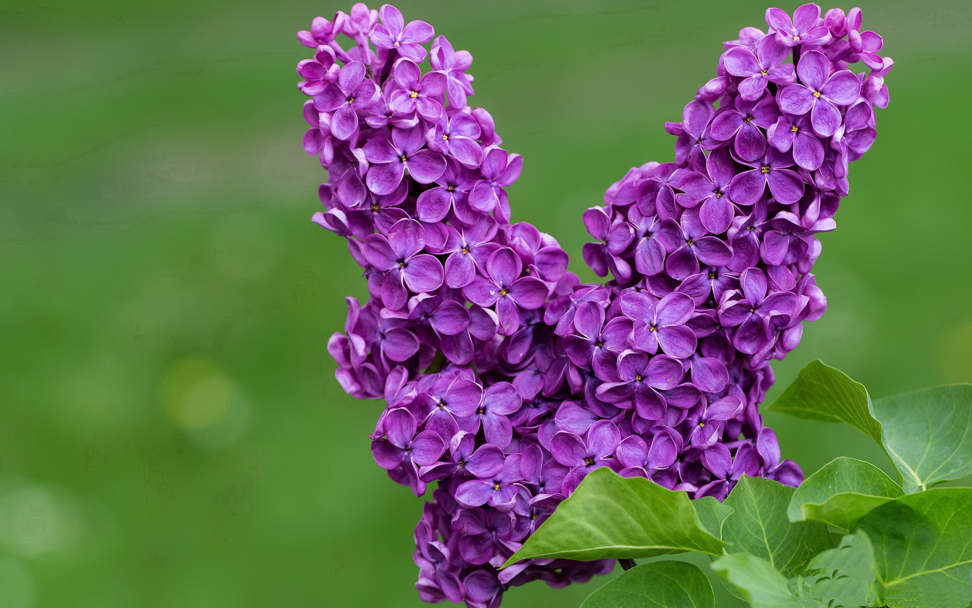 当足球拥抱篮球，欧冠决赛之夜的跨界奇迹