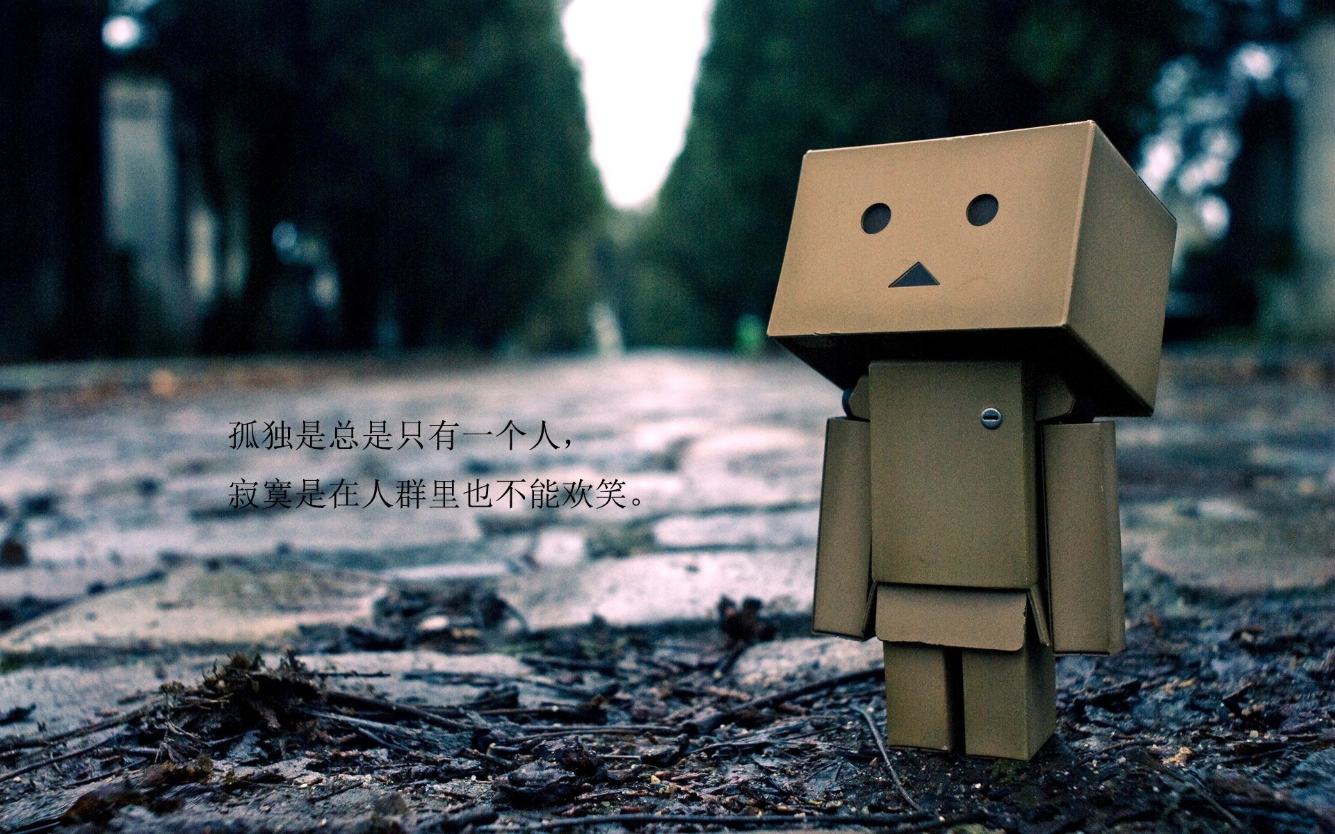 当韩流遭遇袋狼突袭，德容导演的战术革命，为2026世界杯D组写下唯一剧本