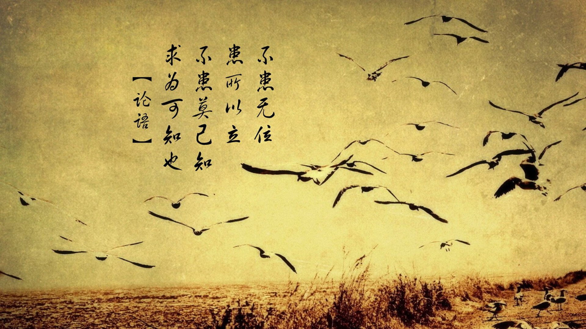 让我们先扩展思维，找到一个能抓住这一瞬间唯一性与史诗感的标题