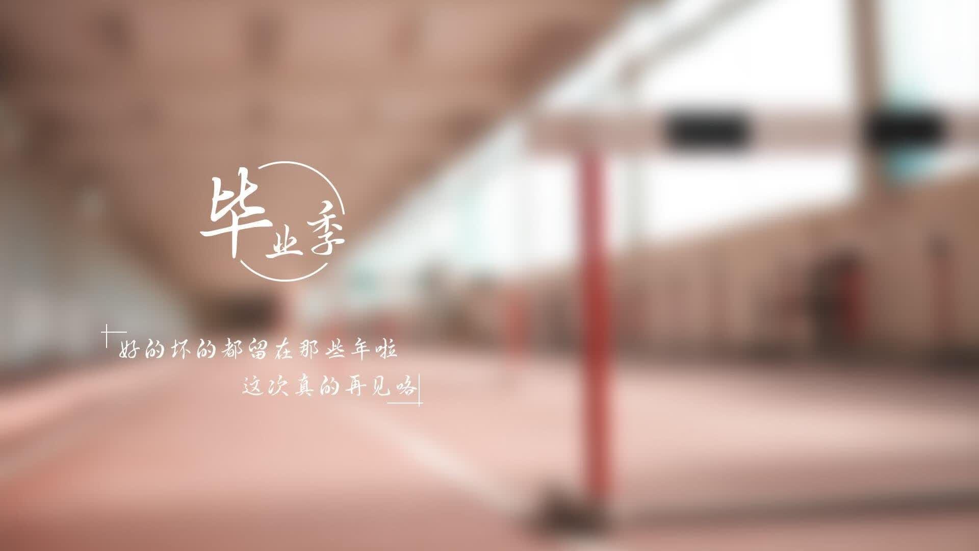 一战定乾坤，黑马踏碎北欧神话，B费领衔罗马尼亚碾压冰岛，2026世界杯E组格局就此重塑